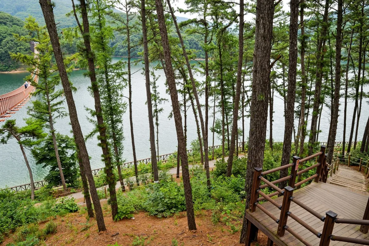 마장호수 출렁다리 - 파주여행 여행