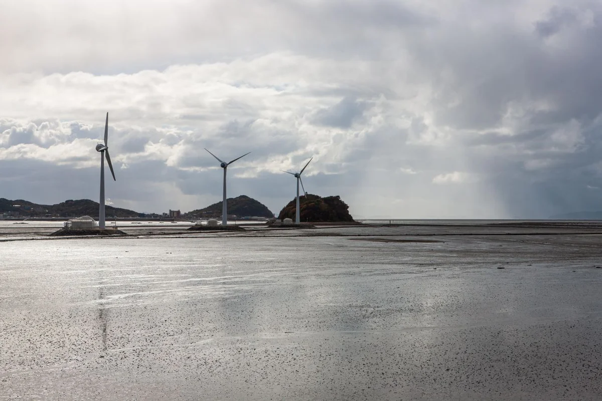 탄도항 - 대부도 여행