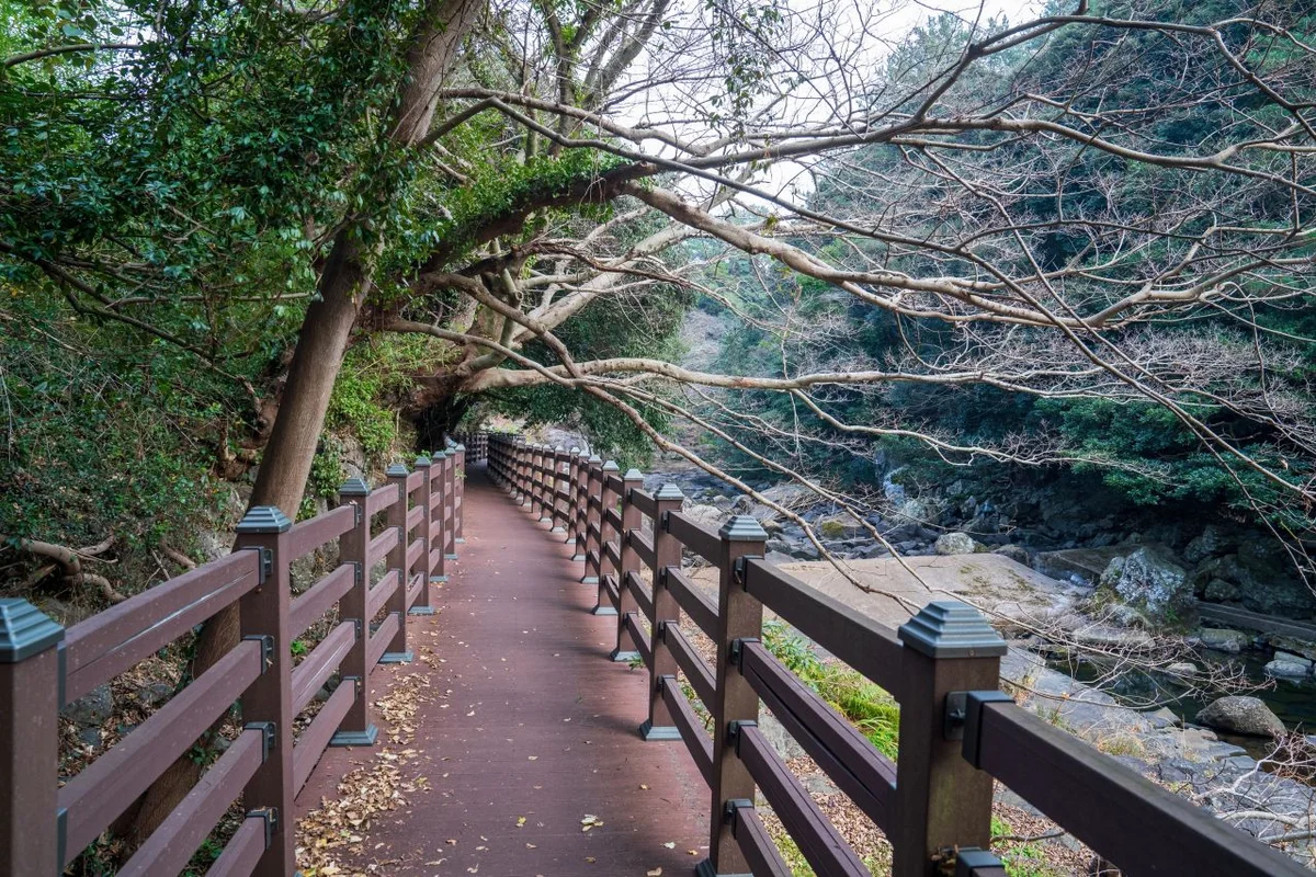 수달캠핑 - 안덕 횟집 여행