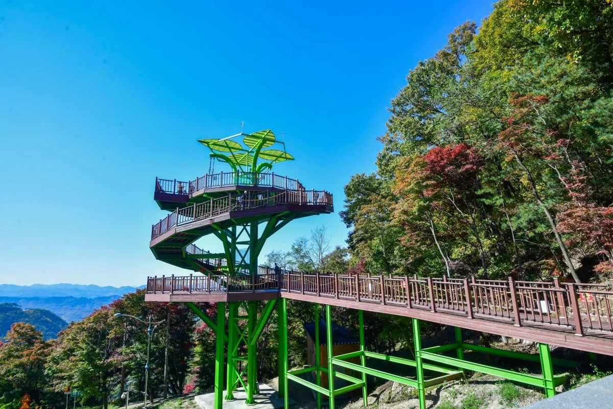 속리산 숲체험휴양마을 - 보은여행 여행