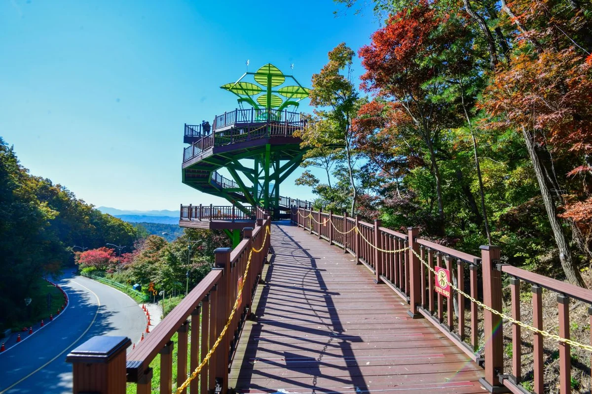 말티재 전망대 - 보은여행 여행