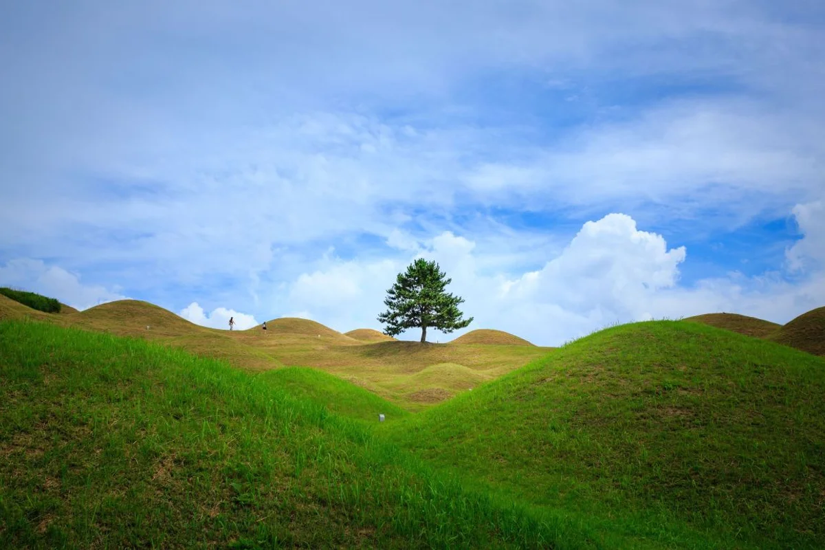 배다리헌책방거리 - 동구펜션 여행