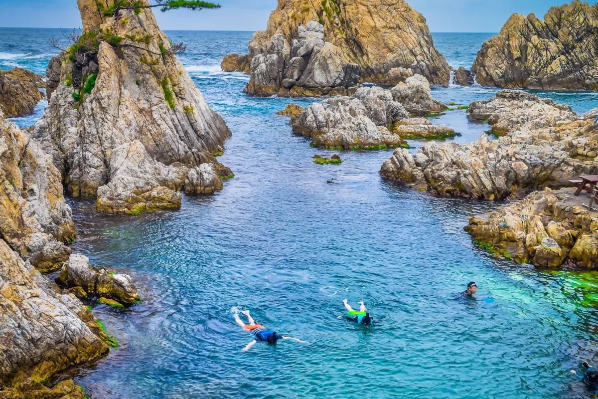 SEA LIFE 부산아쿠아리움 - 문현여행 여행