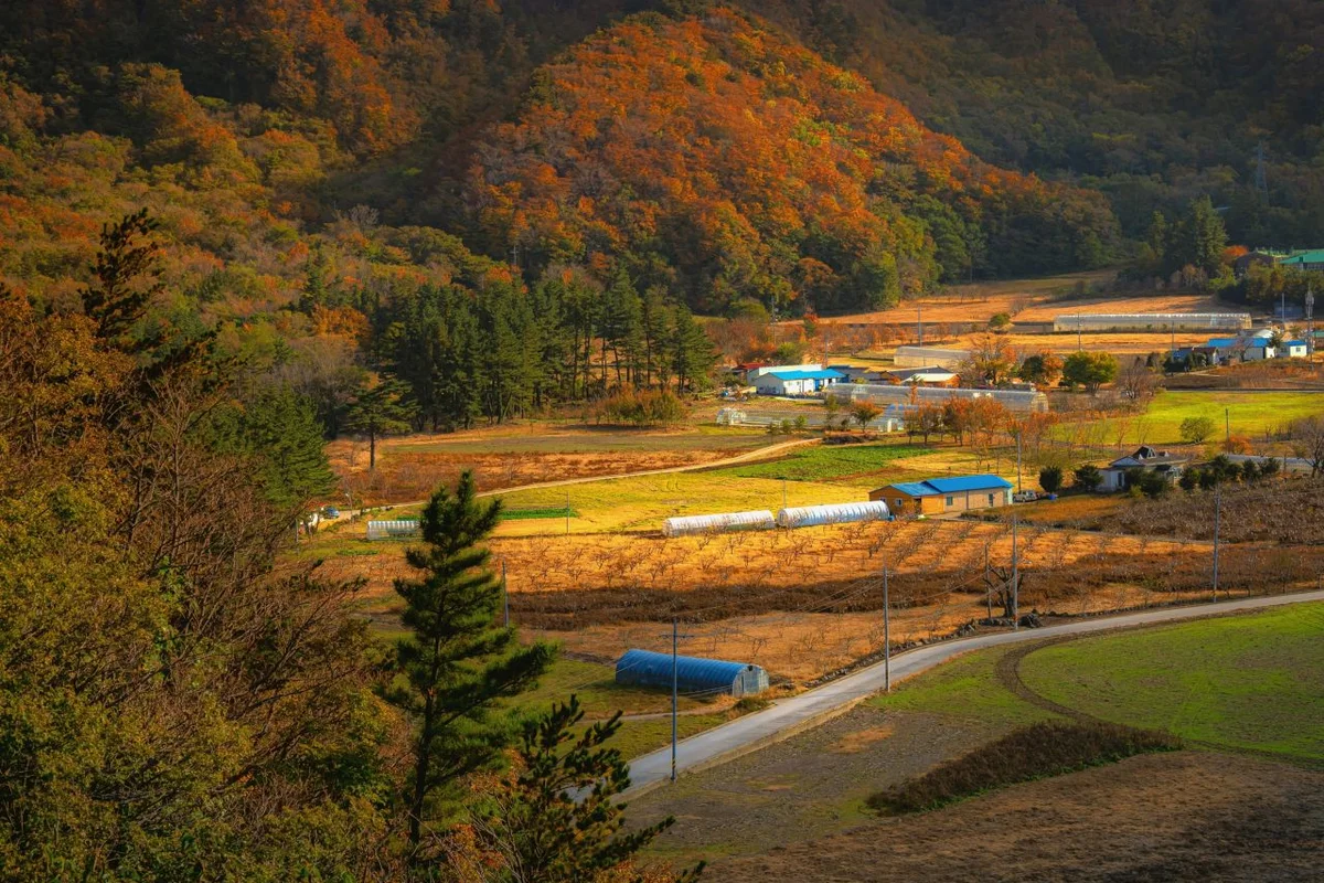 나리분지 - 울릉군 여행