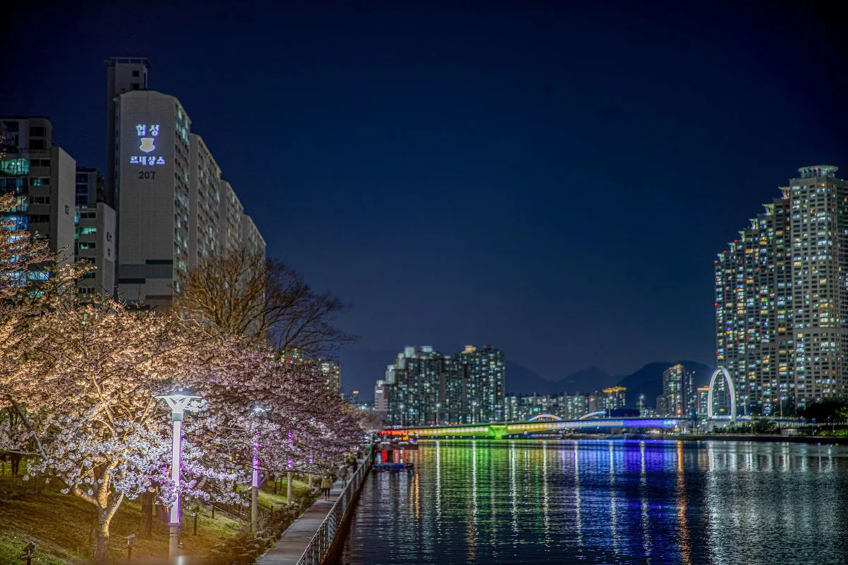해운대구 벚꽃 (출처 : 한국관광공사)