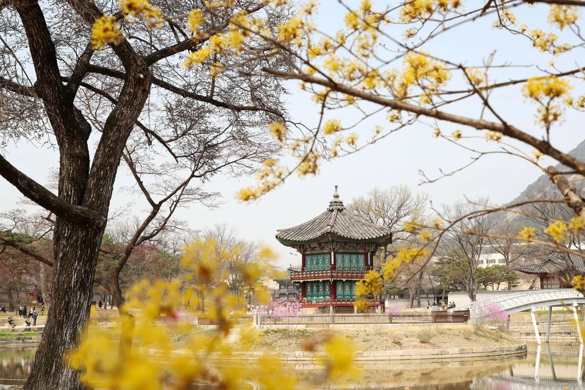 오동근린공원 유아숲체험장 - 수유여행 여행