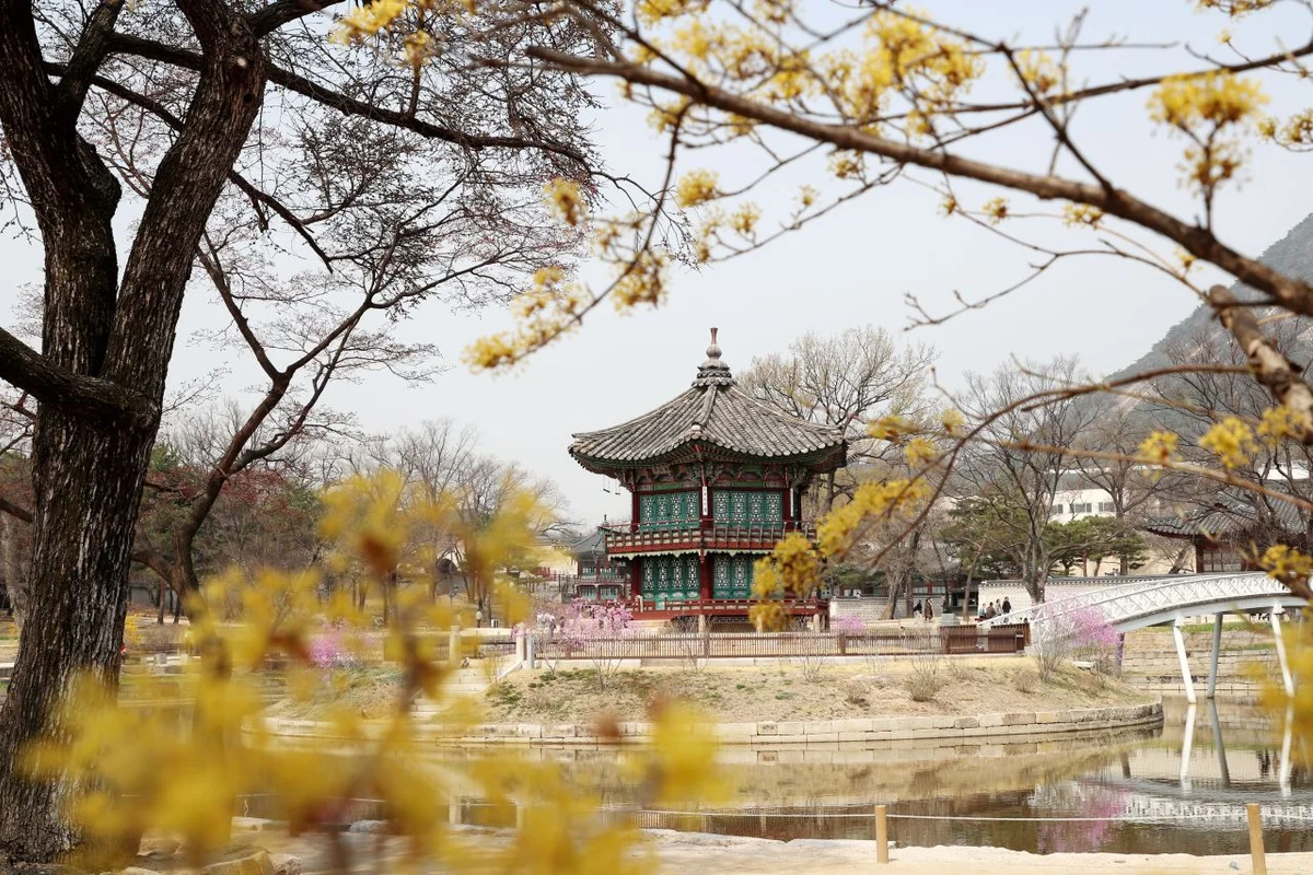 오동근린공원 - 수유여행 여행