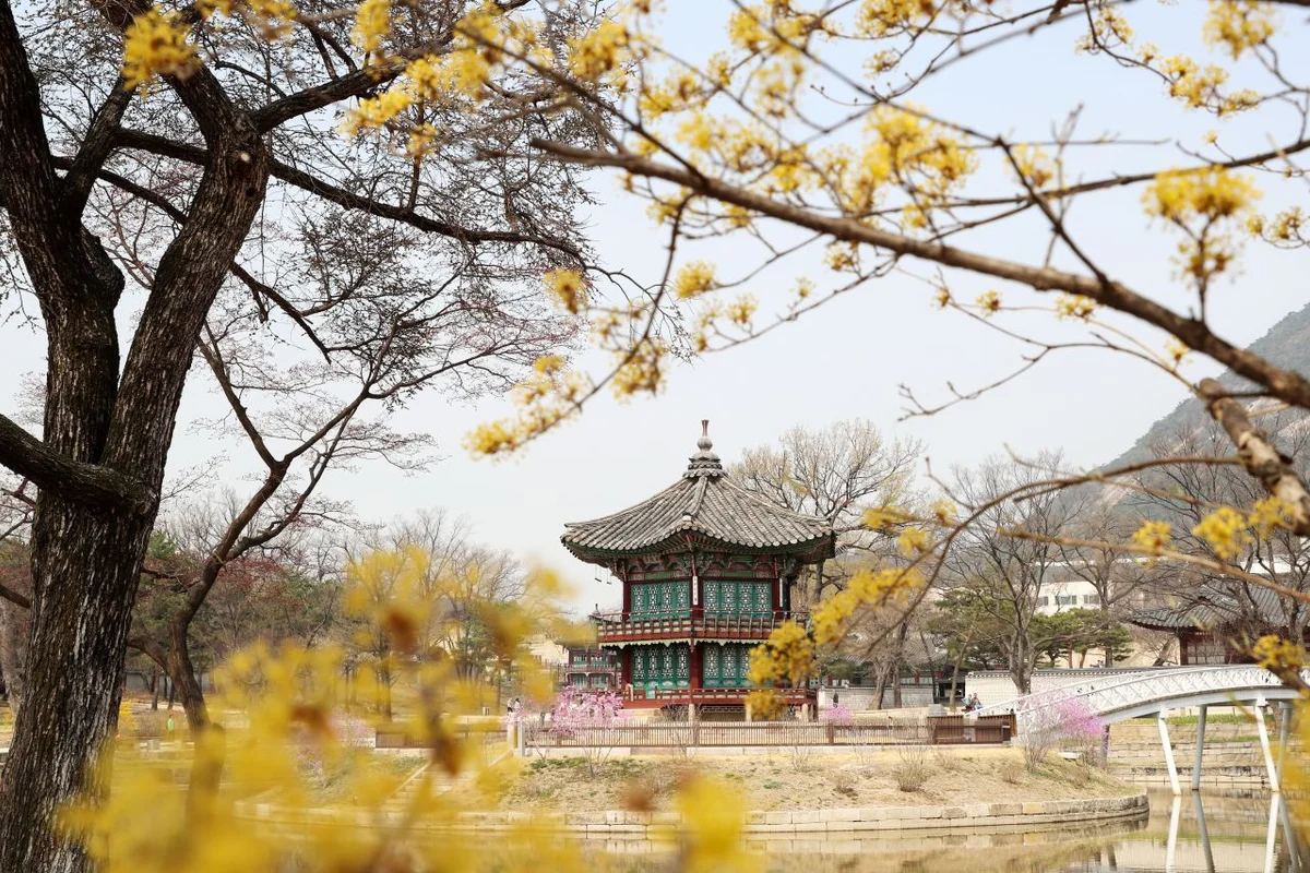 오패산 - 수유여행 여행