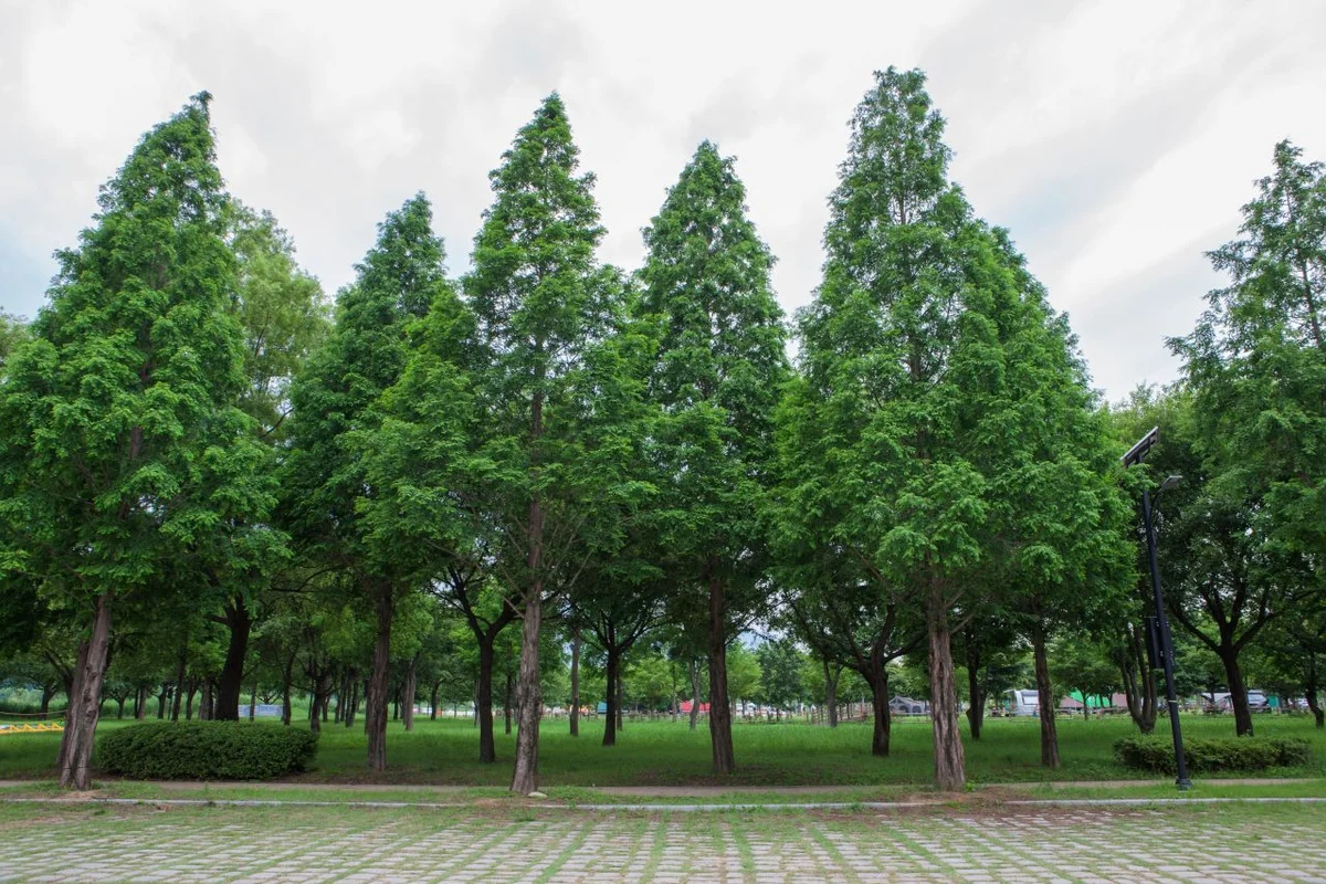 휴먼트리펜션 - 구미풀빌라 여행