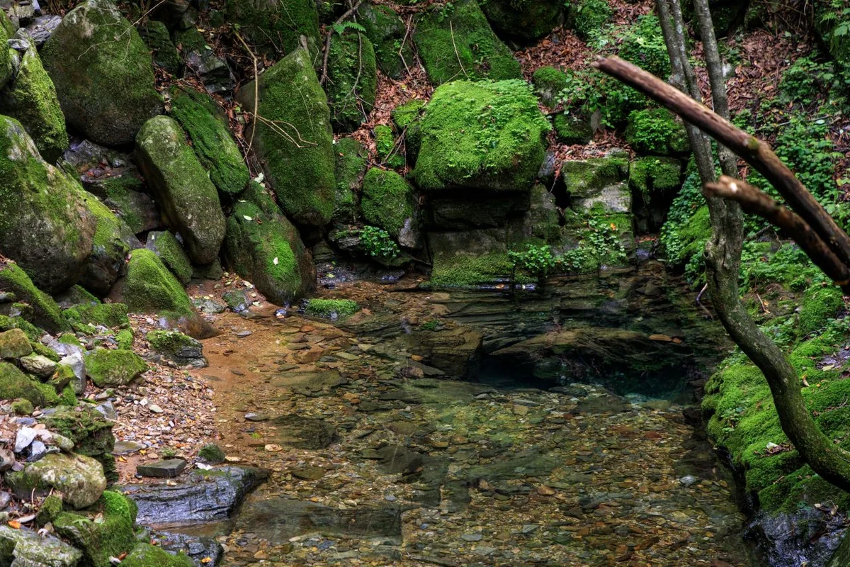 태백 아이와 가볼만한곳 (출처 : 한국관광공사)