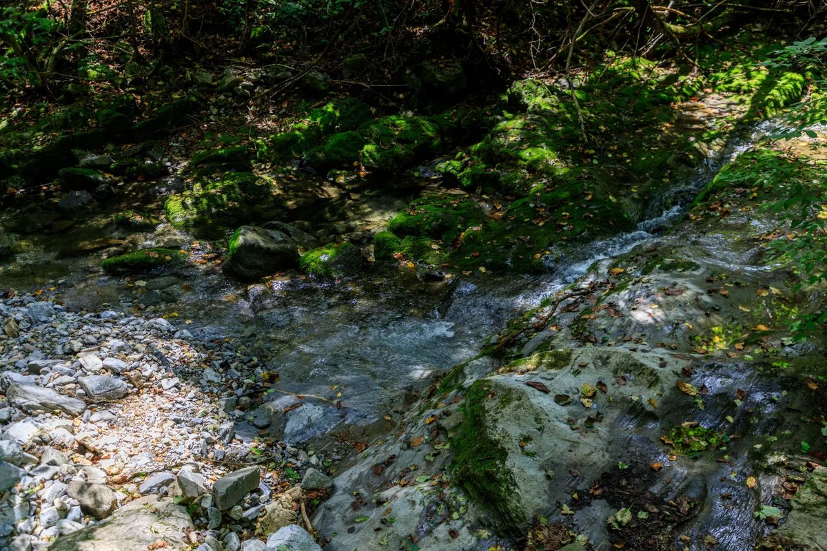 혈리낚시터태백관광농원 - 태백 여행