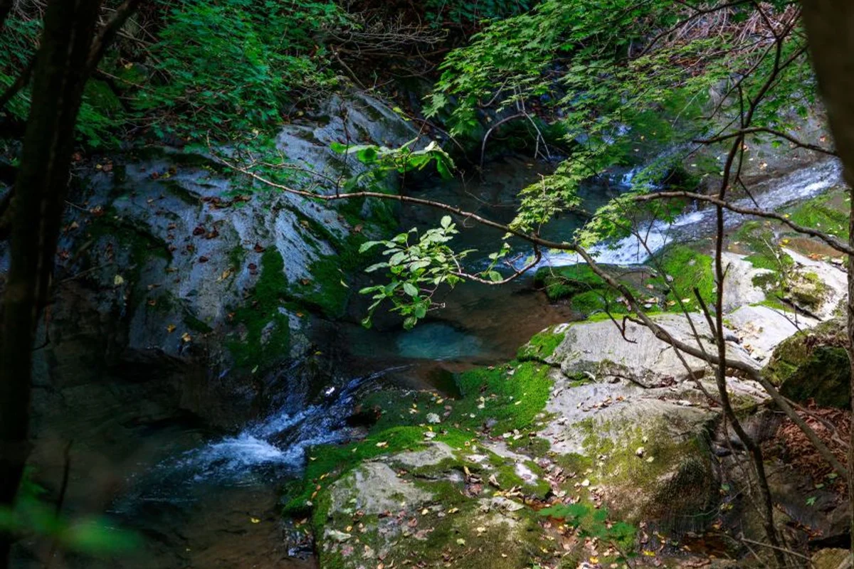 태백낚시 - 태백 여행