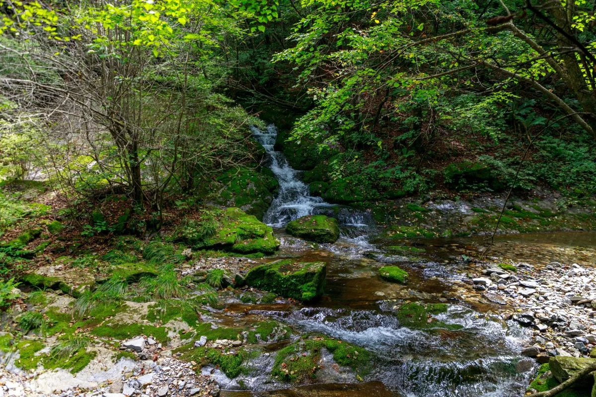 황지연못 - 태백여행 여행