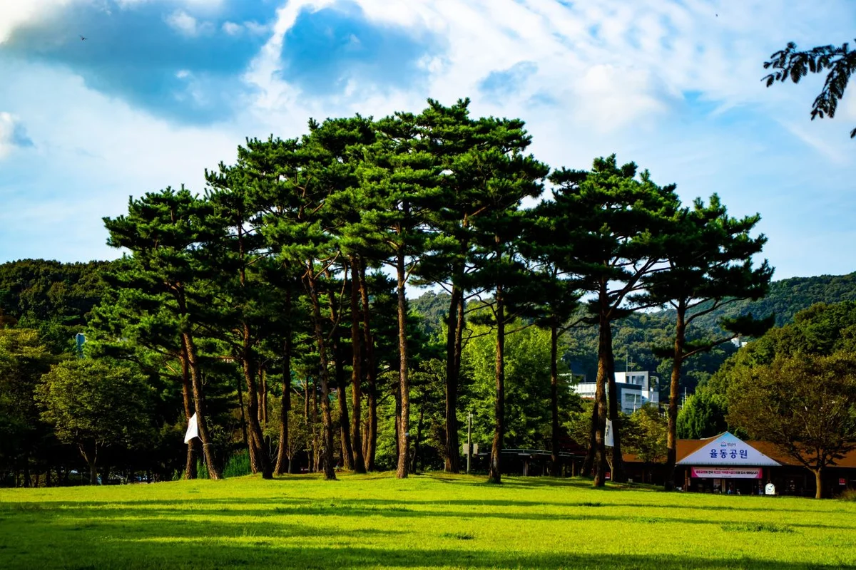 율동공원 - 분당여행 여행