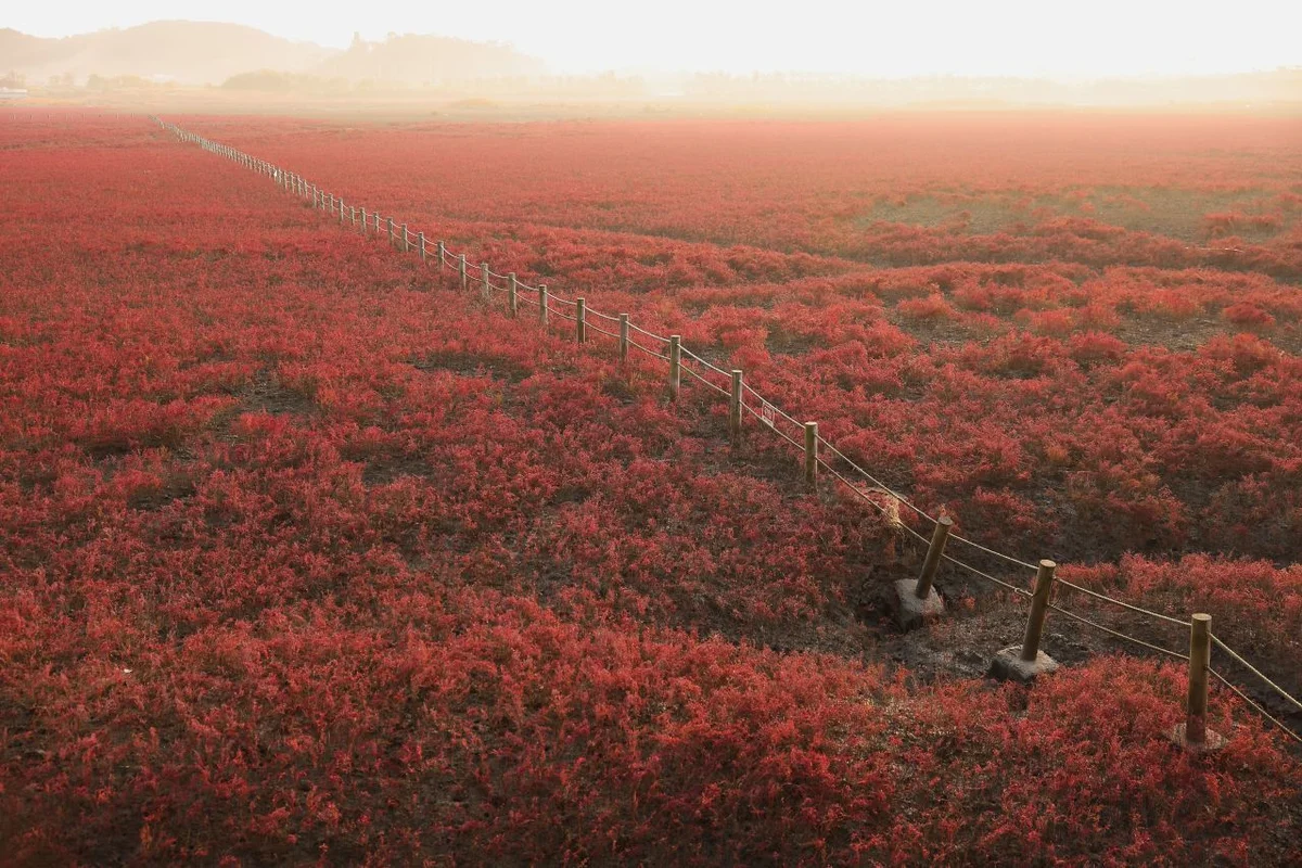 동구 펜션 (출처 : 한국관광공사)