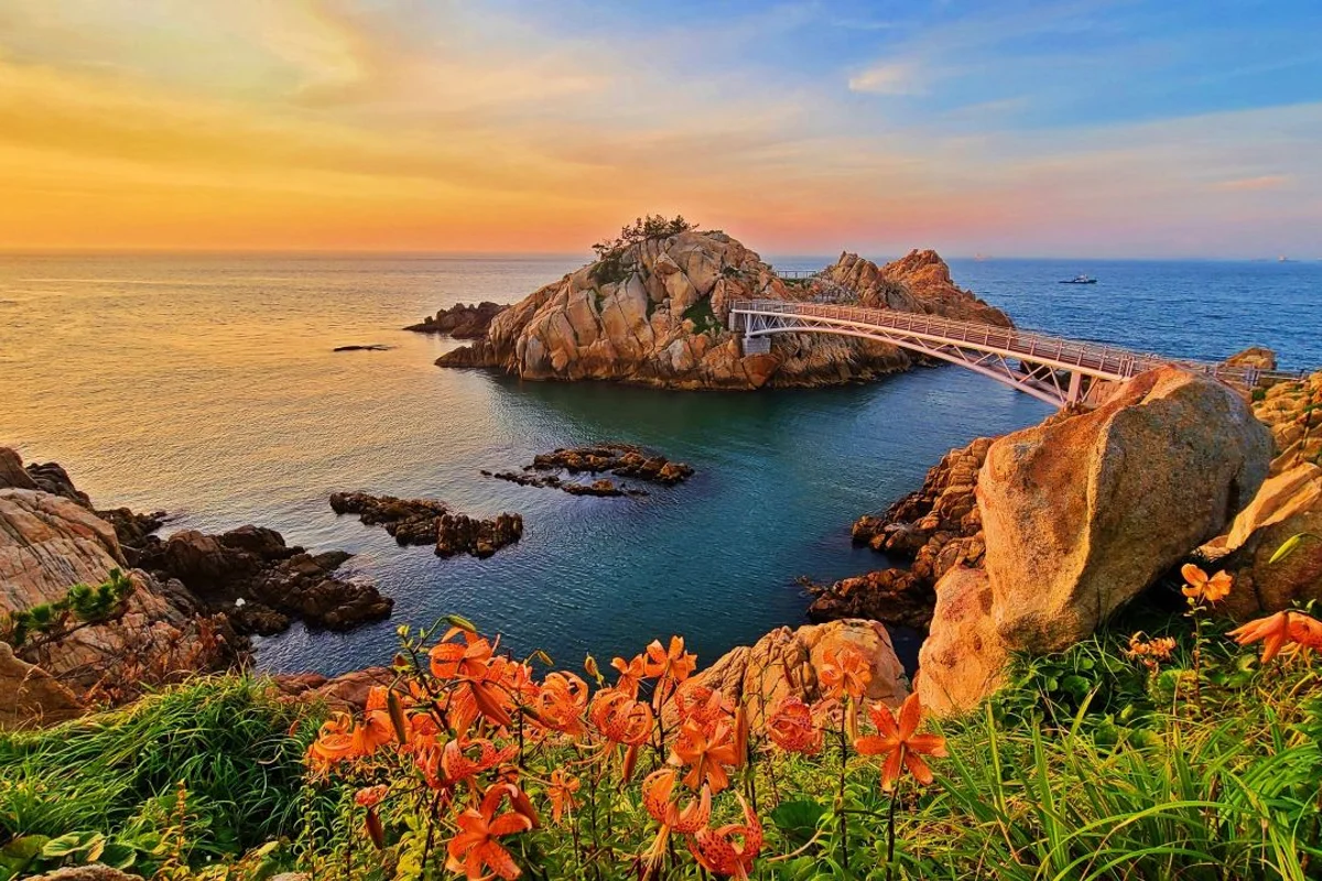 대왕암 코스모스 명소 (출처 : 한국관광공사)