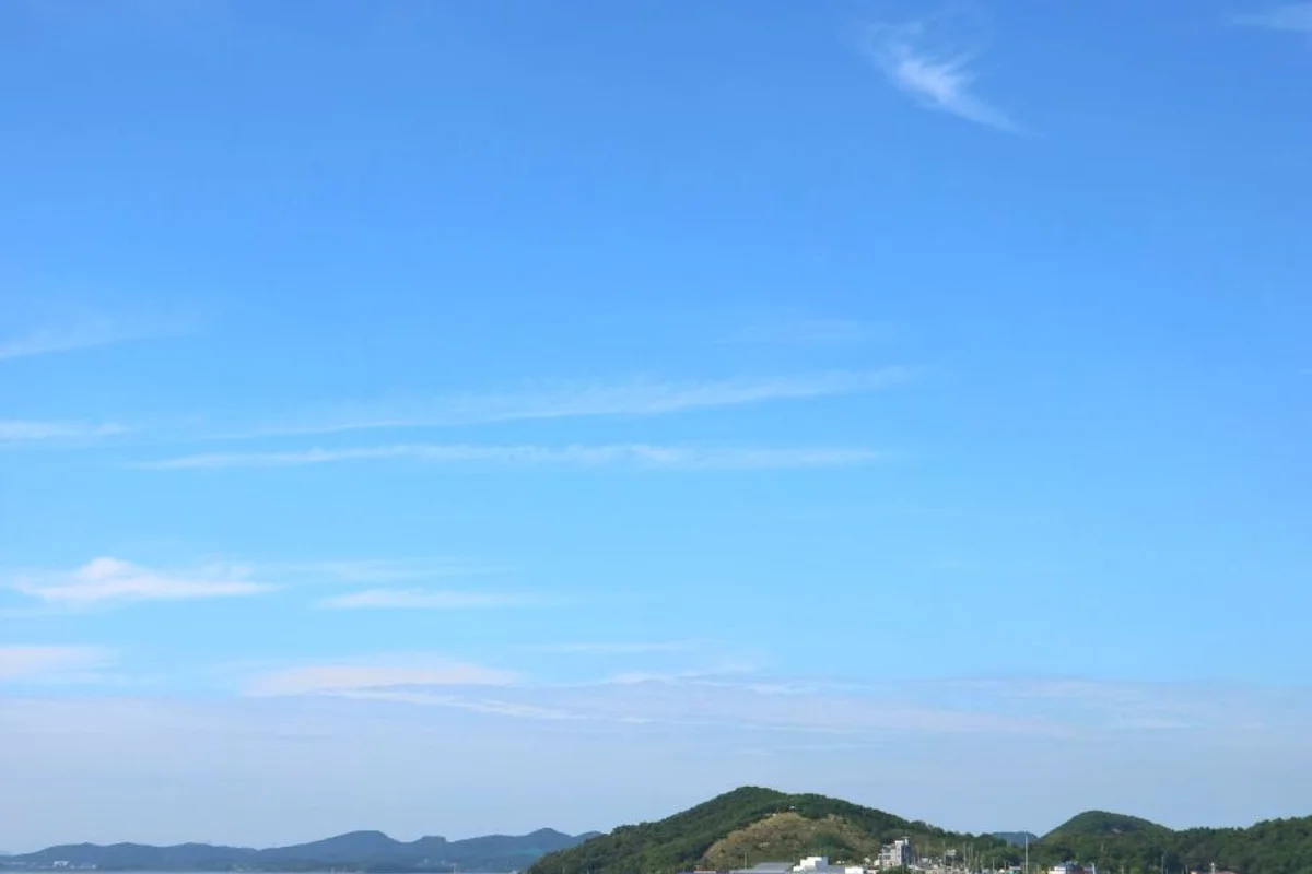 제부도 식물원, 화성시우리꽃식물원에서 만나는 초록빛 세상 - 제부도 여행