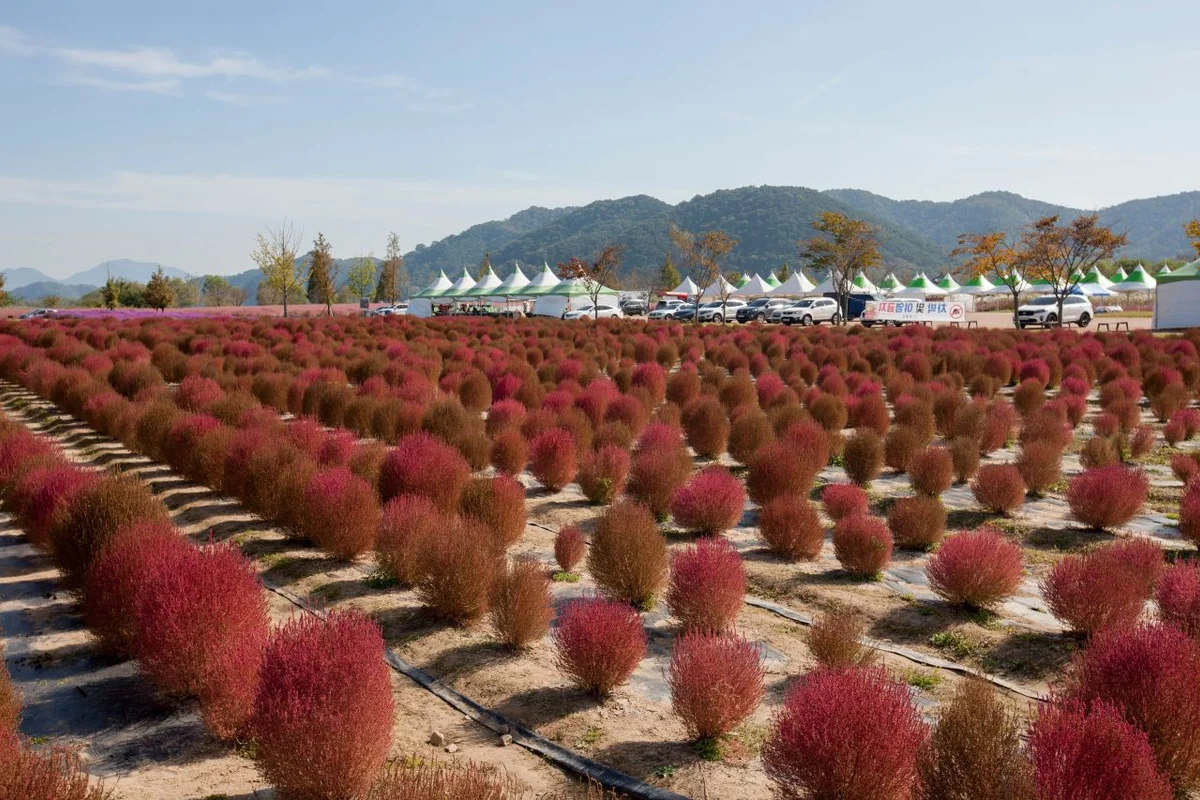 의령곤충생태학습관 - 의령여행 여행