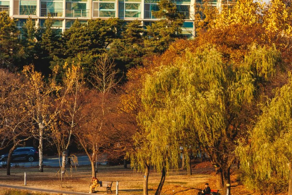샤로수길 - 관악구 여행