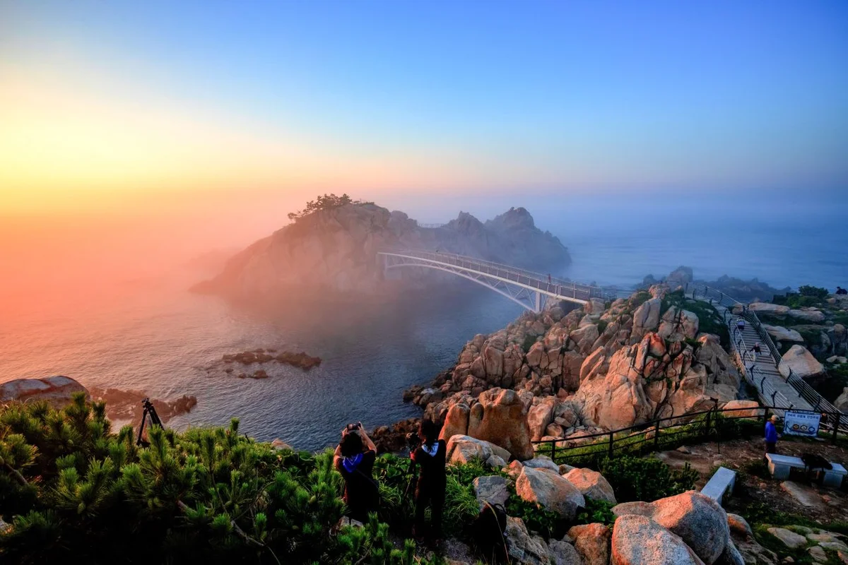 대왕암 코스모스 명소의 중심, 대왕암공원 - 울산여행 여행