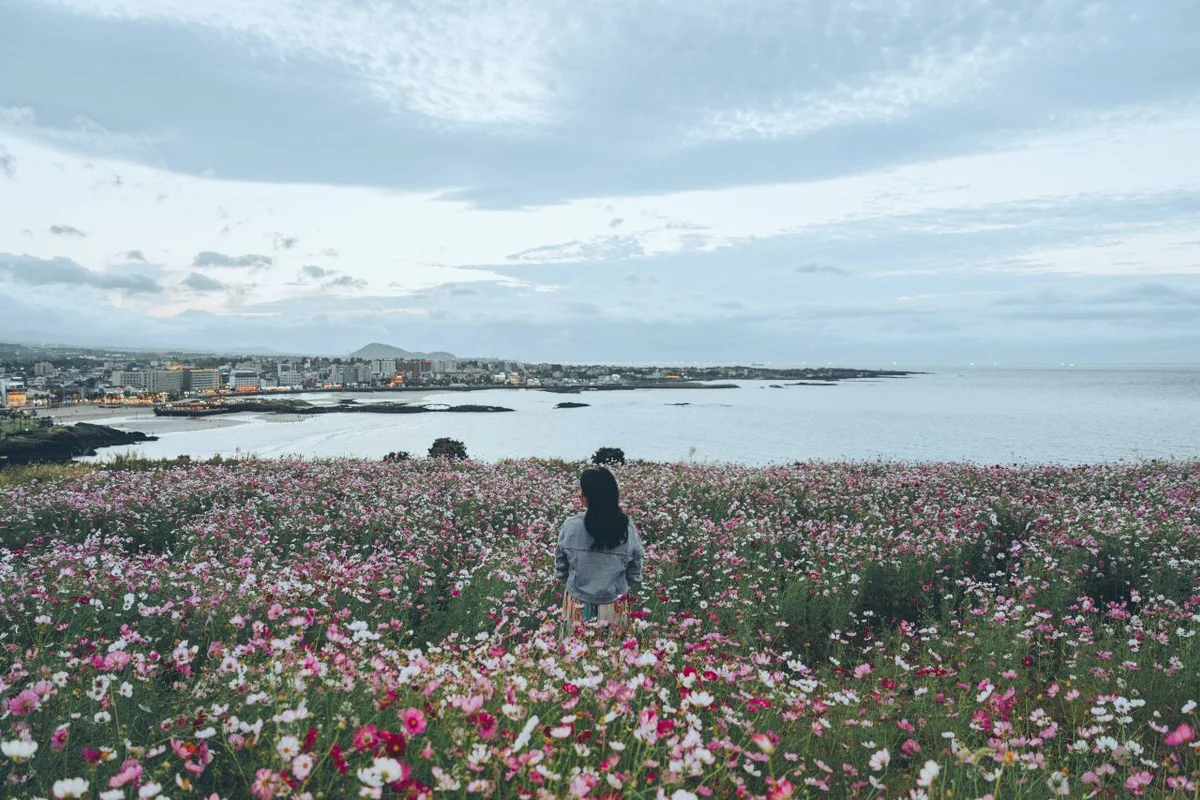 서우봉 - 함덕 여행