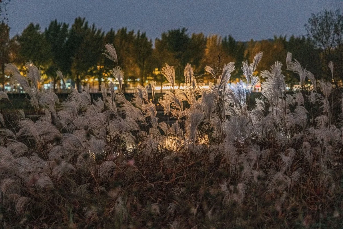 아산시 야경 (출처 : 한국관광공사)