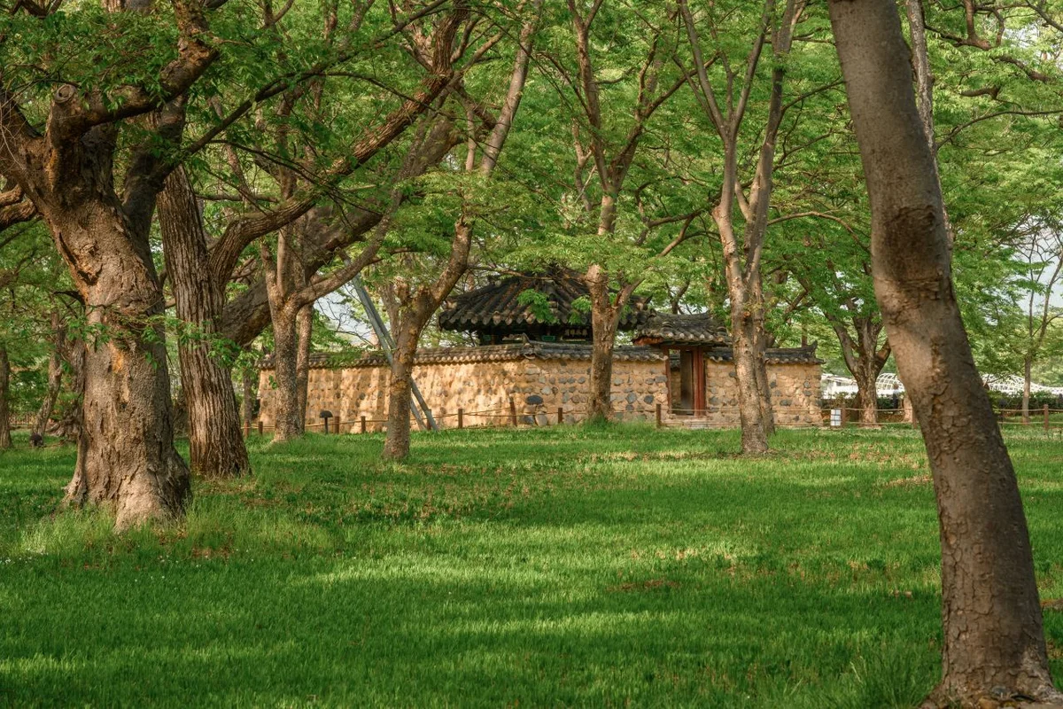 옥천묘목축제 - 4월축제 여행