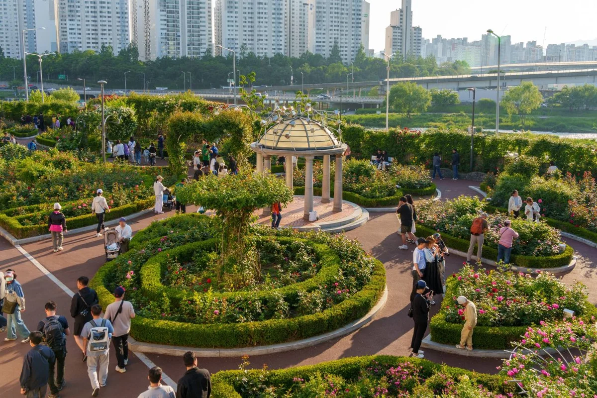 중랑구 봄 나들이 (출처 : 한국관광공사)