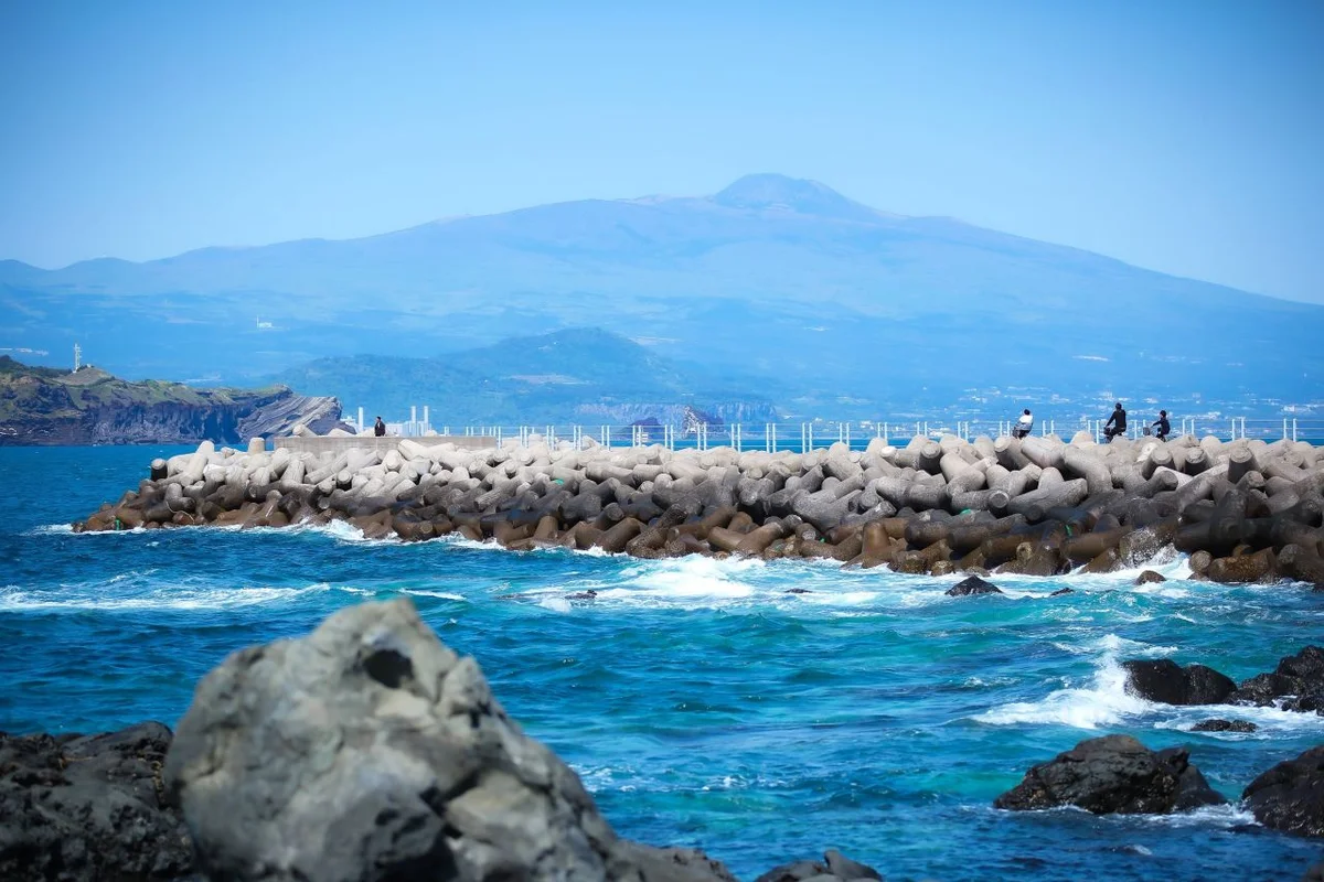 신라고분정보센터 - 경주여행 여행