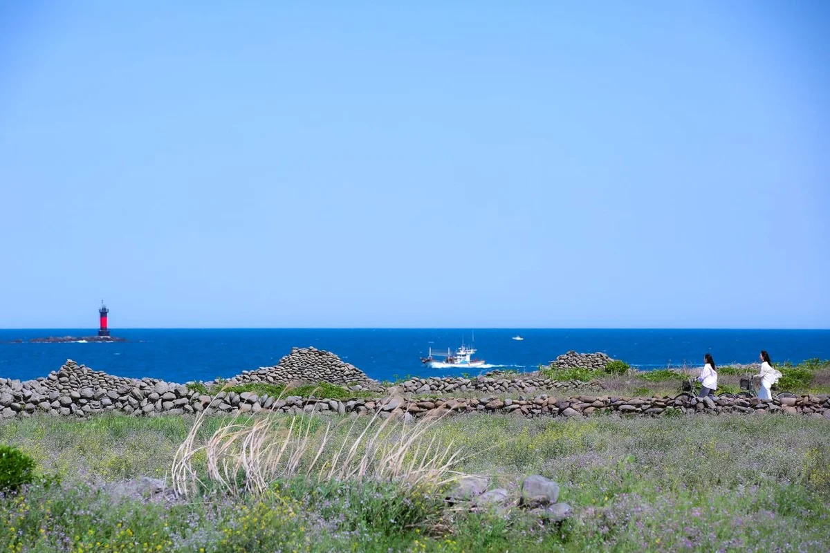 꽃귤농장 - 제주도 여행 여행