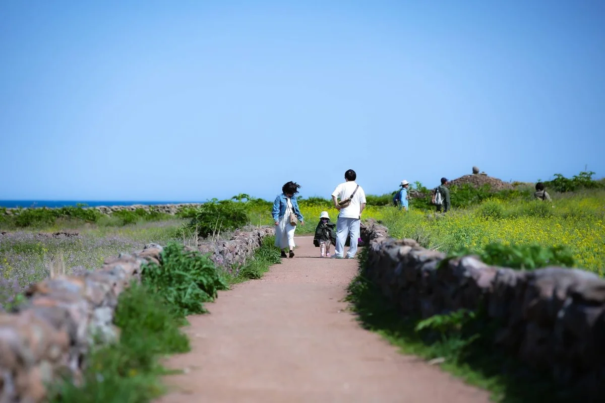 제주 한라수목원 - 제주도 여행 여행