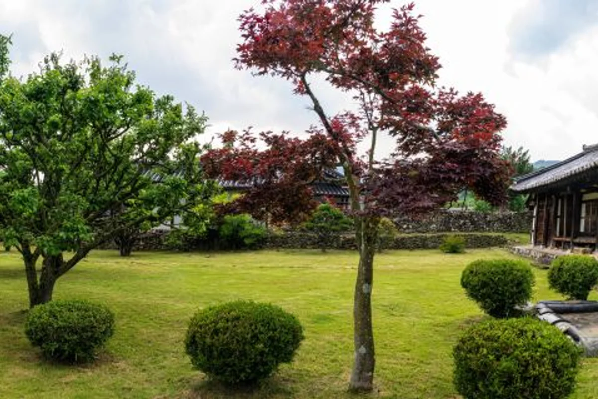 드라마 [최참판댁] 촬영지 - 하동여행 여행