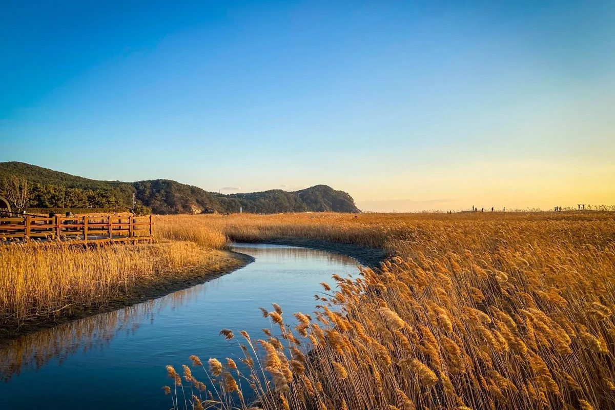 다대포 봄 가볼만한곳 (출처 : 한국관광공사)