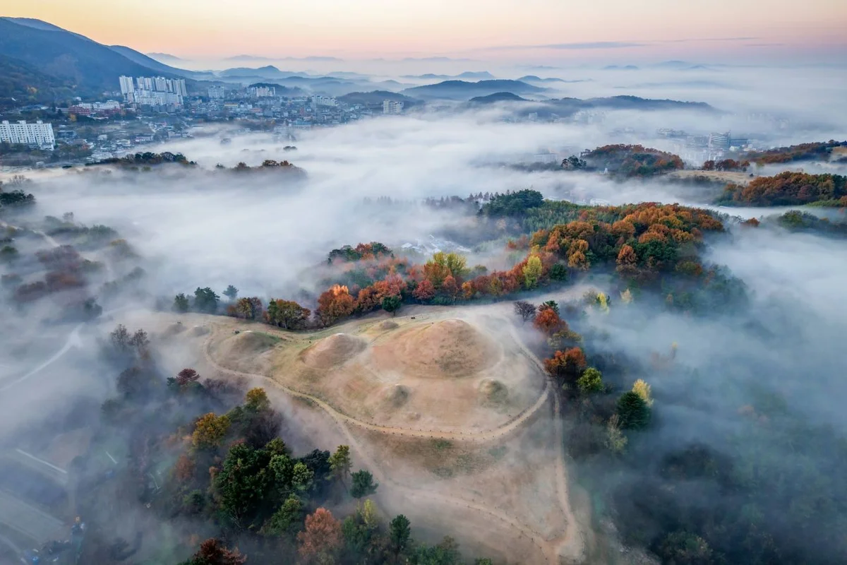 창녕 낙동강 유채축제 - 창녕 축제 여행