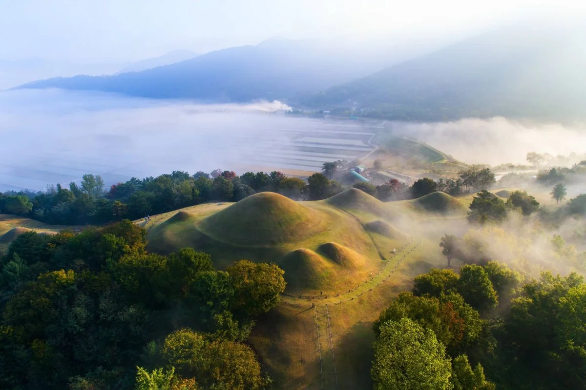 창녕 축제 (출처 : 한국관광공사)