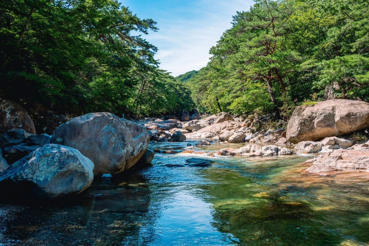 대원사 - 산청 여행 여행