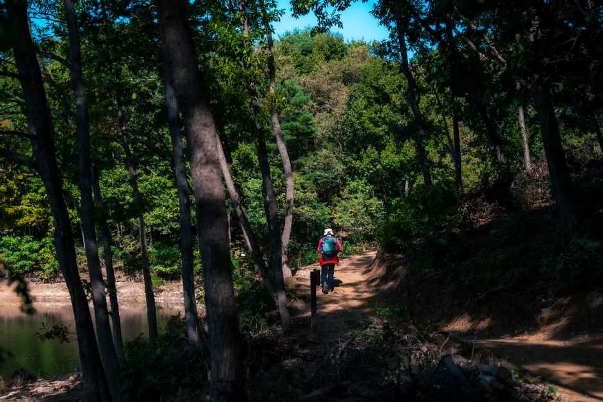 스머프 매직 포레스트 강남점 - 역삼 여행
