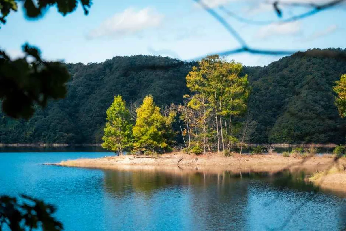 역삼문화공원 - 역삼 여행