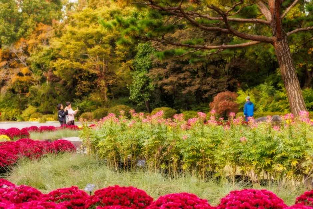 오산버드파크 - 오산여행 여행