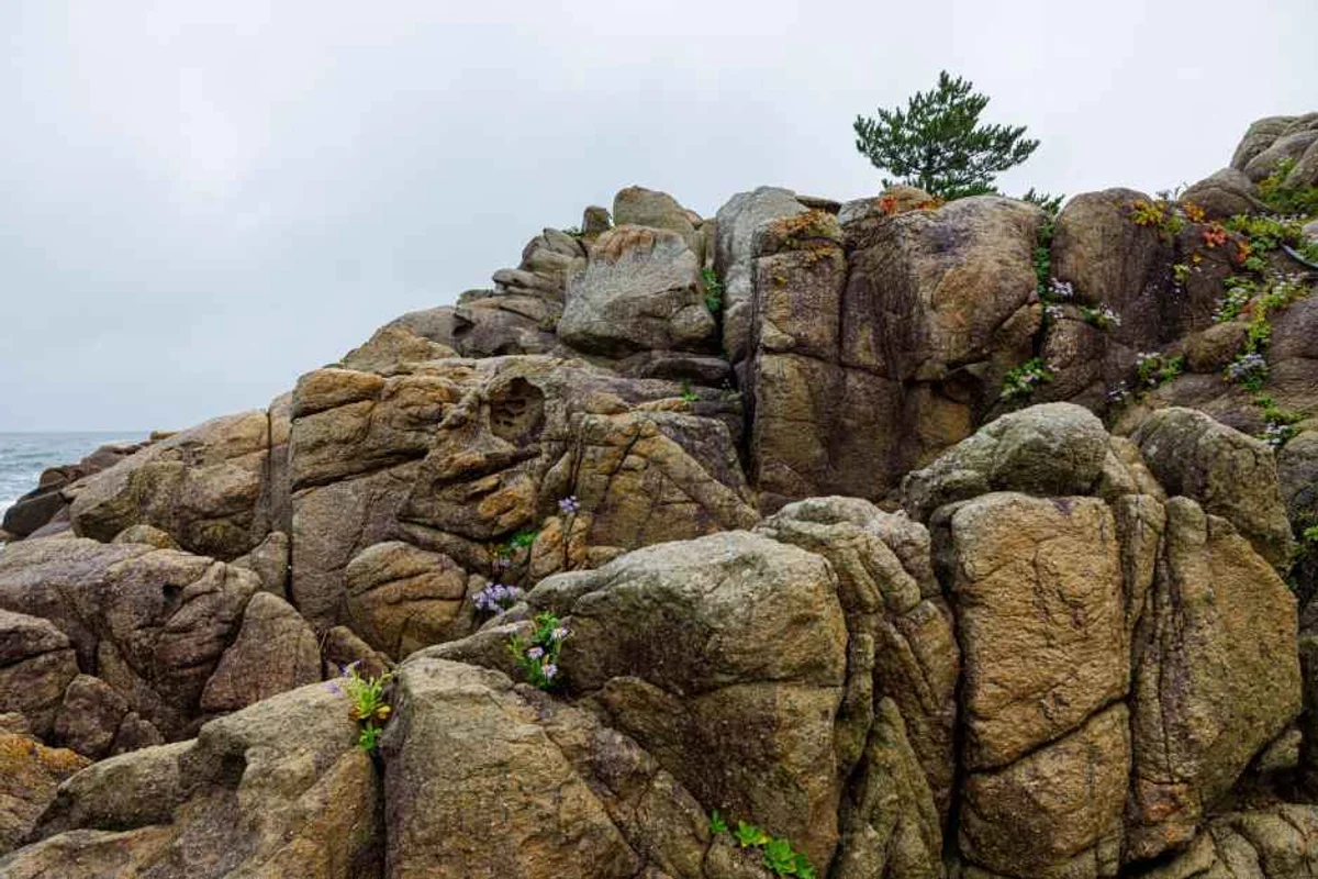 거진전통시장 - 고성여행 여행