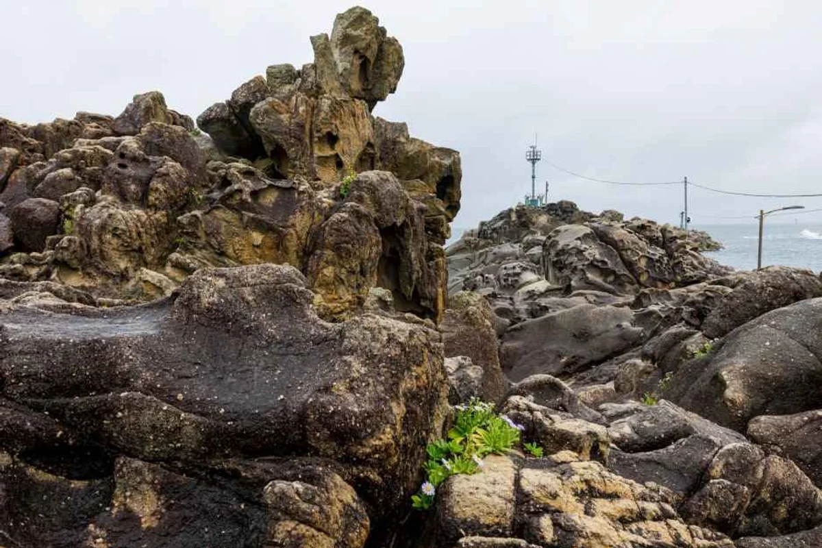 대진항수산시장 - 고성여행 여행