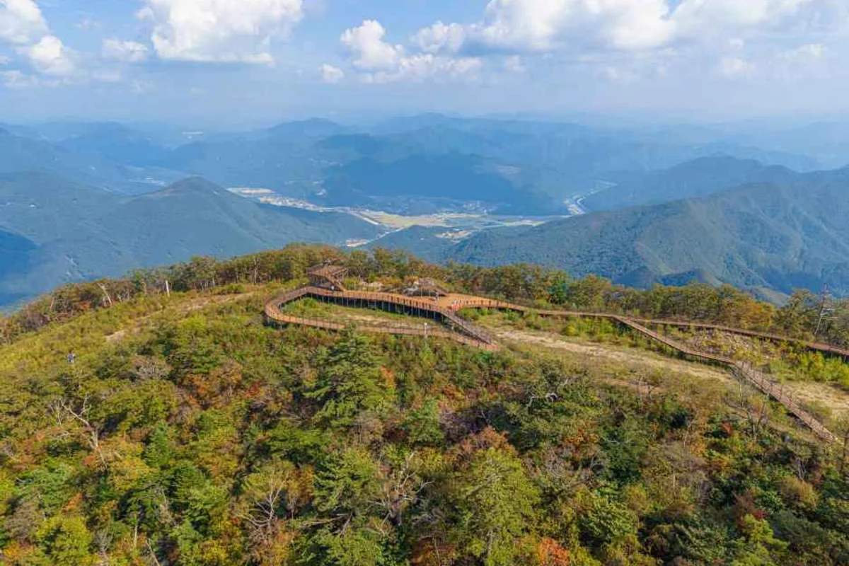 평창 조나단패러글라이딩스쿨 - 강원도여행 여행