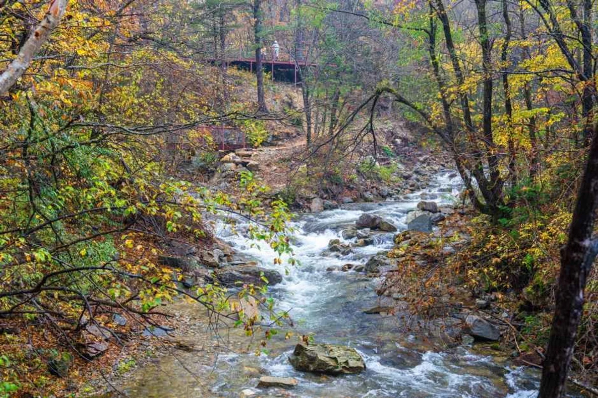 산너미목장 - 평창여행 여행