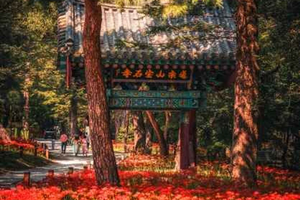 금산 골프장 (출처 : 한국관광공사)