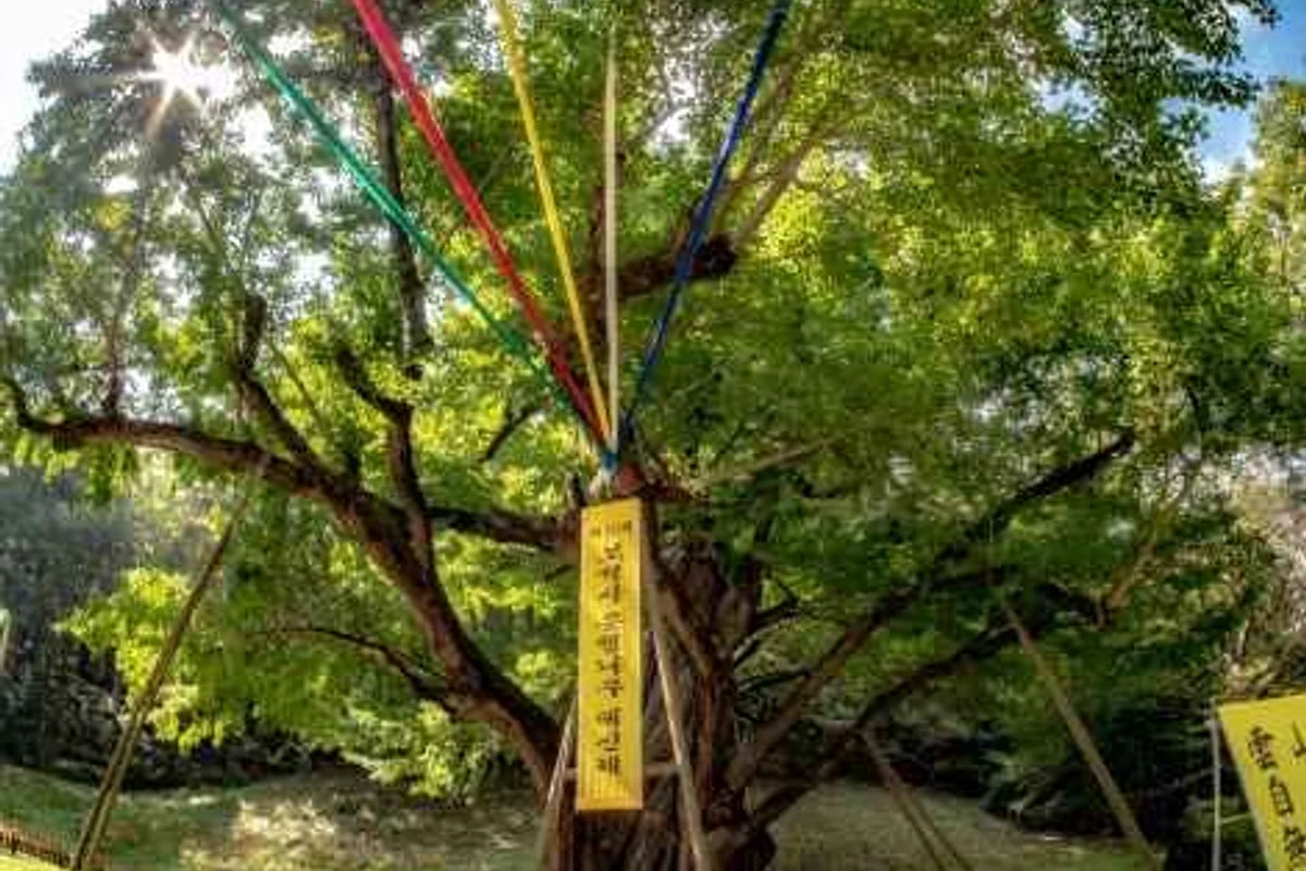 금산군파크골프장 - 금산여행 여행