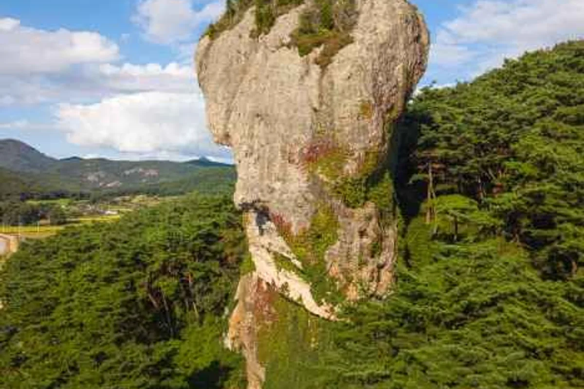 상하농원 - 전북여행 여행