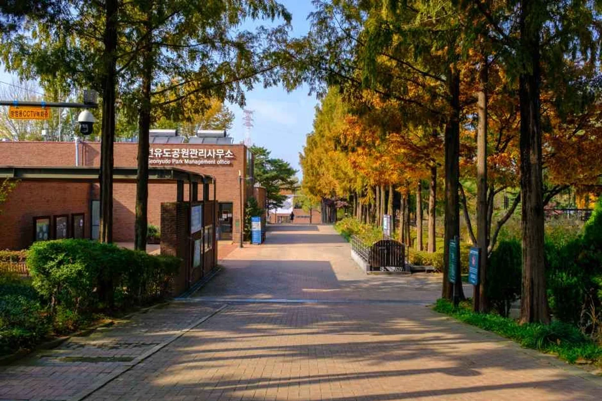 여의도공원 - 영등포구 등산 여행