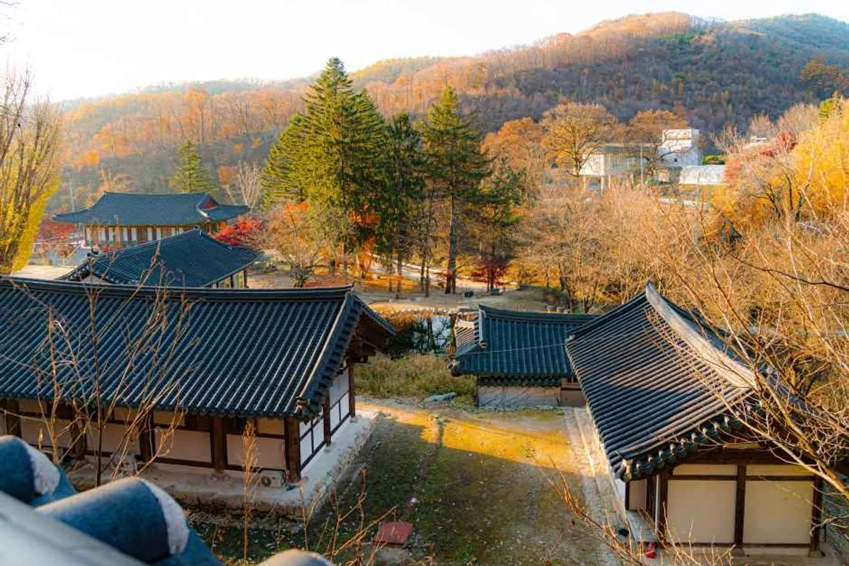 주렁주렁 동물원 하남점 - 경기도여행 여행