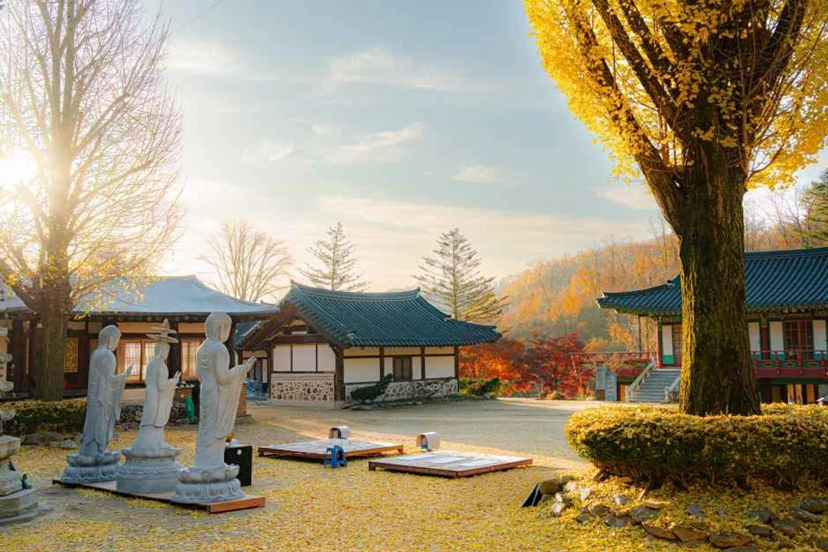 헤세의 정원 HESSE GARDEN - 양주여행 여행