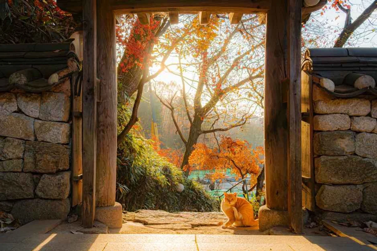 고양 트레킹 (출처 : 한국관광공사)